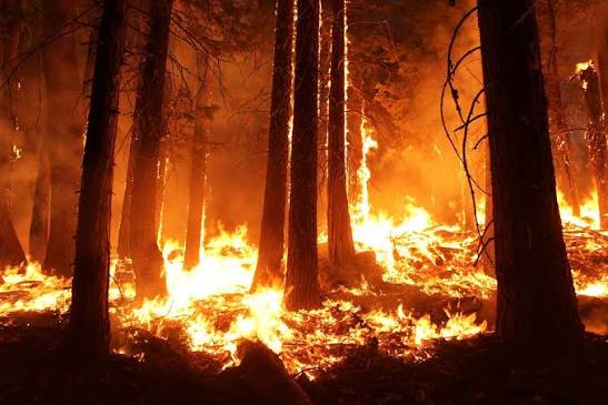 Agility in the Country in the Face of Fires